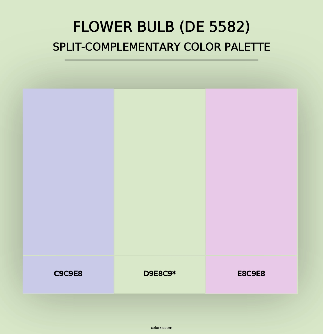 Flower Bulb (DE 5582) - Split-Complementary Color Palette