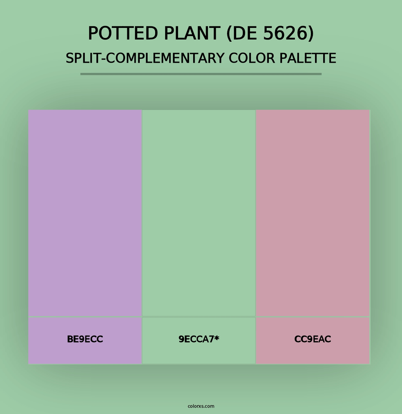 Potted Plant (DE 5626) - Split-Complementary Color Palette