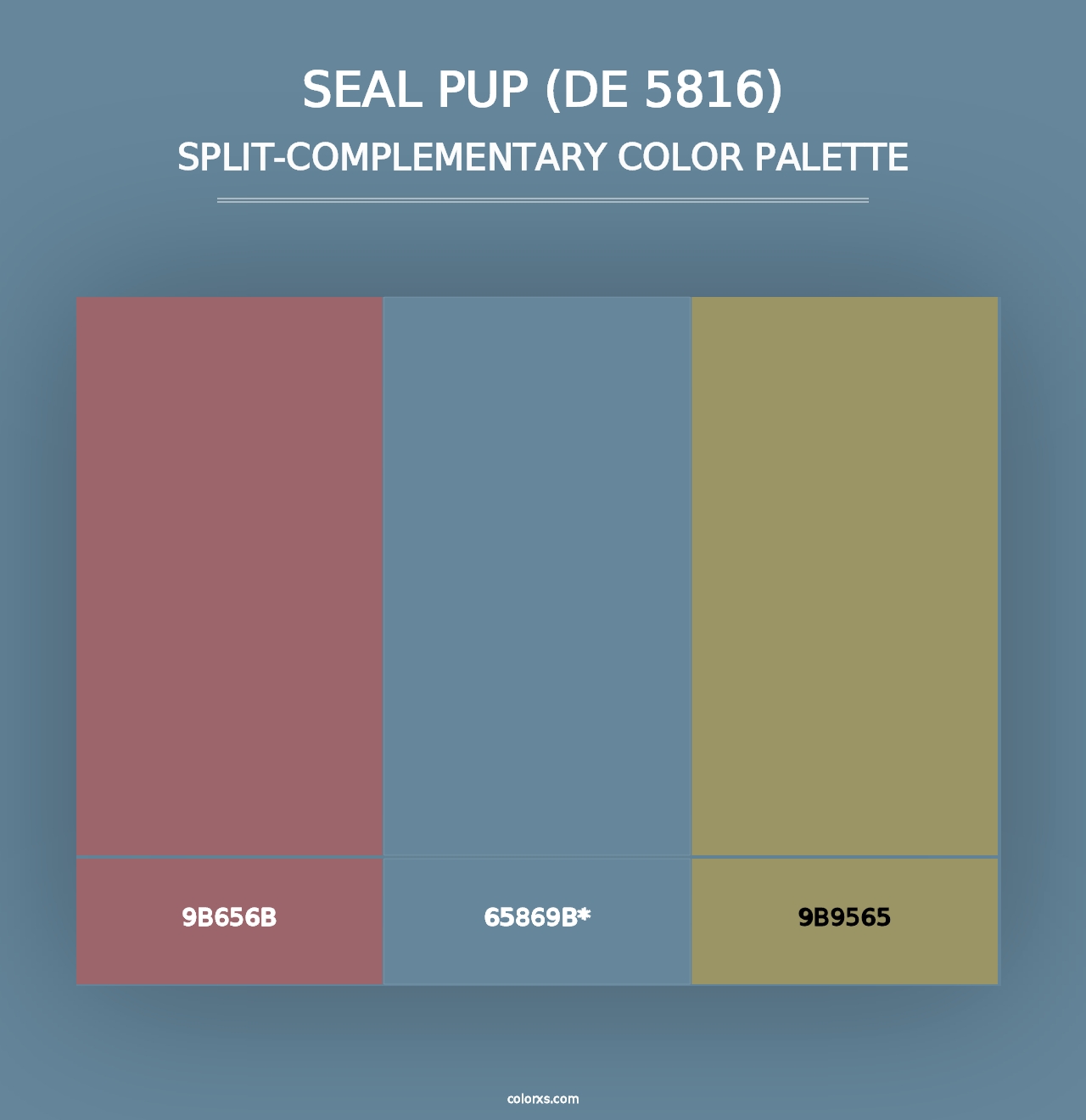 Seal Pup (DE 5816) - Split-Complementary Color Palette