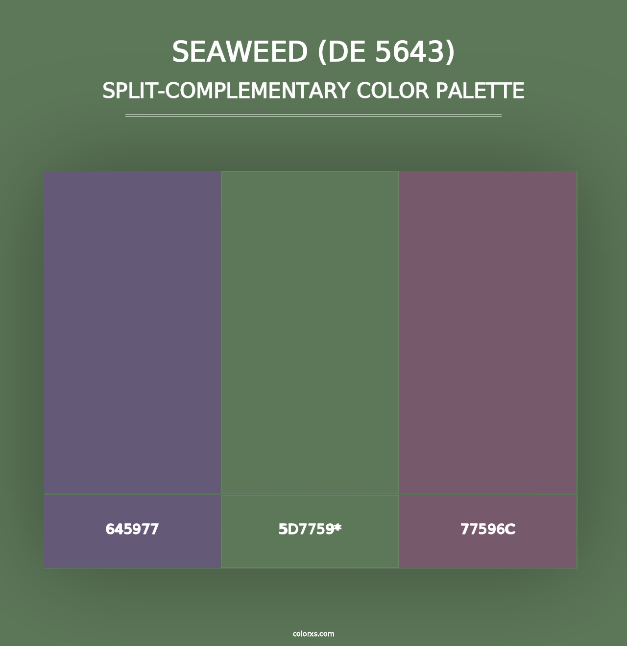 Seaweed (DE 5643) - Split-Complementary Color Palette