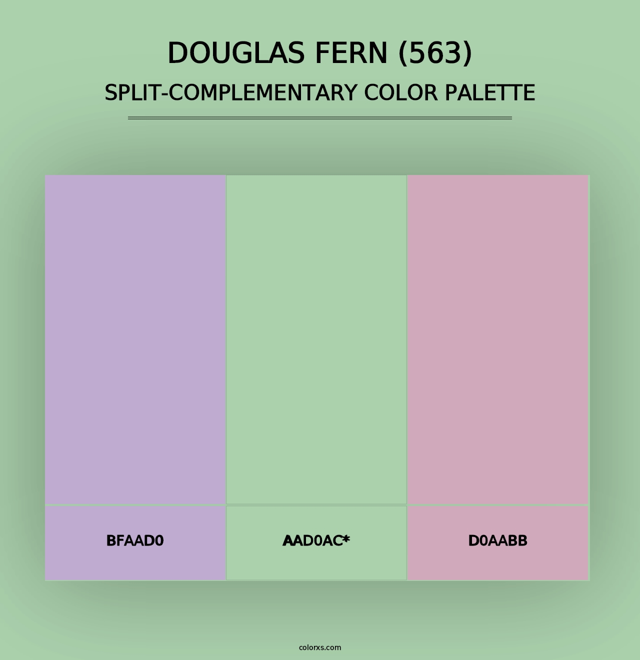 Douglas Fern (563) - Split-Complementary Color Palette