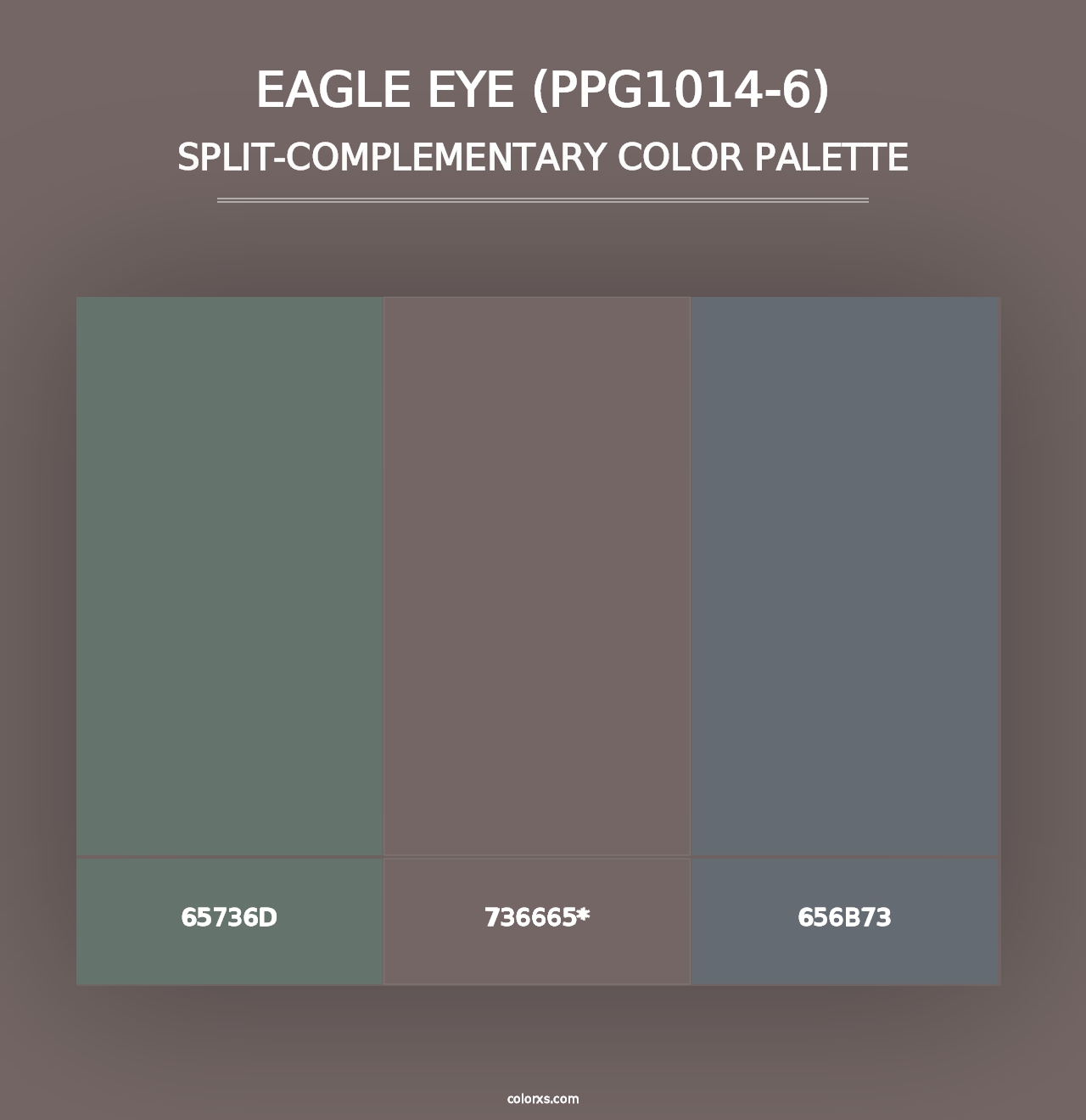 Eagle Eye (PPG1014-6) - Split-Complementary Color Palette