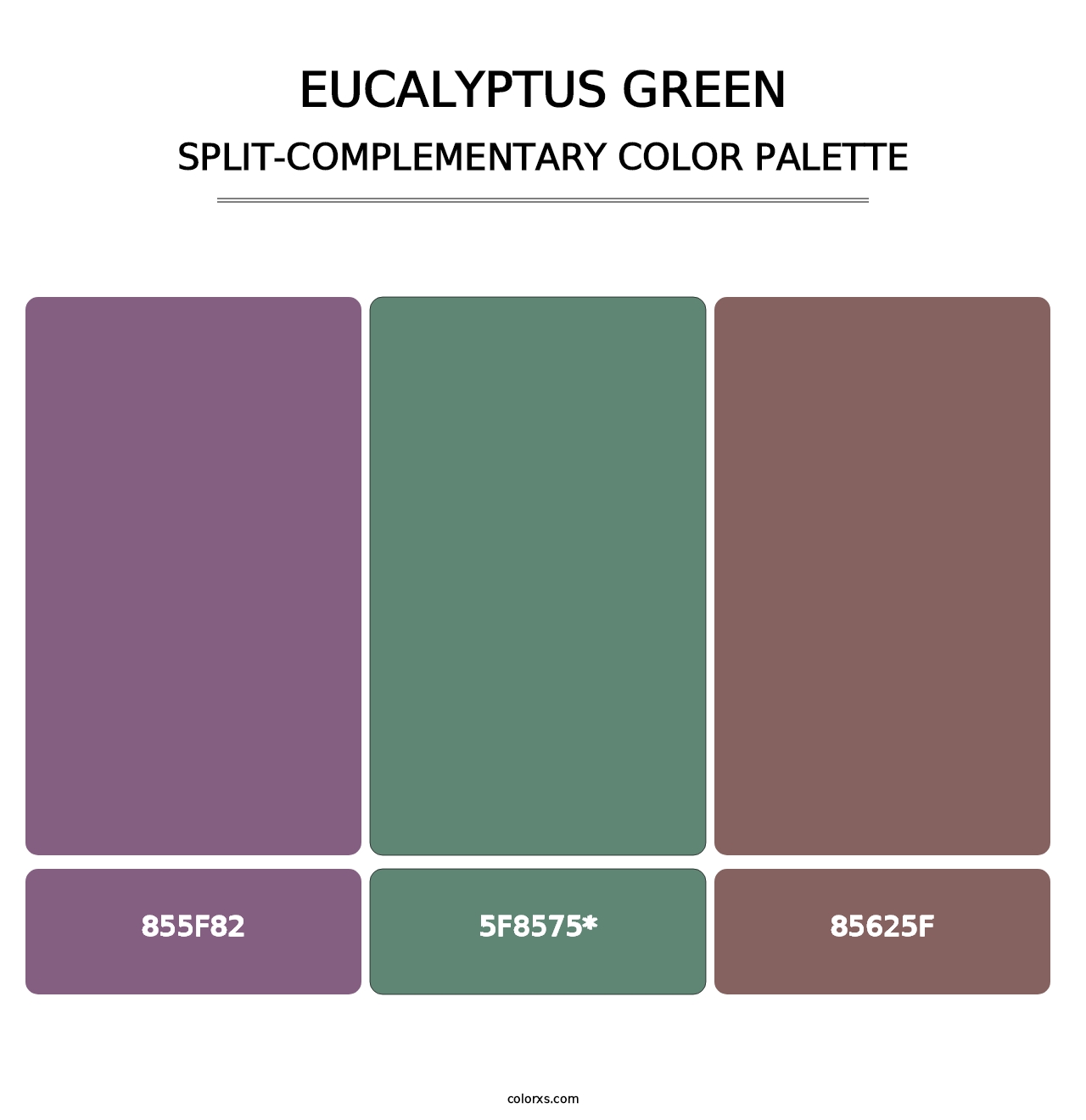 Eucalyptus Green - Split-Complementary Color Palette