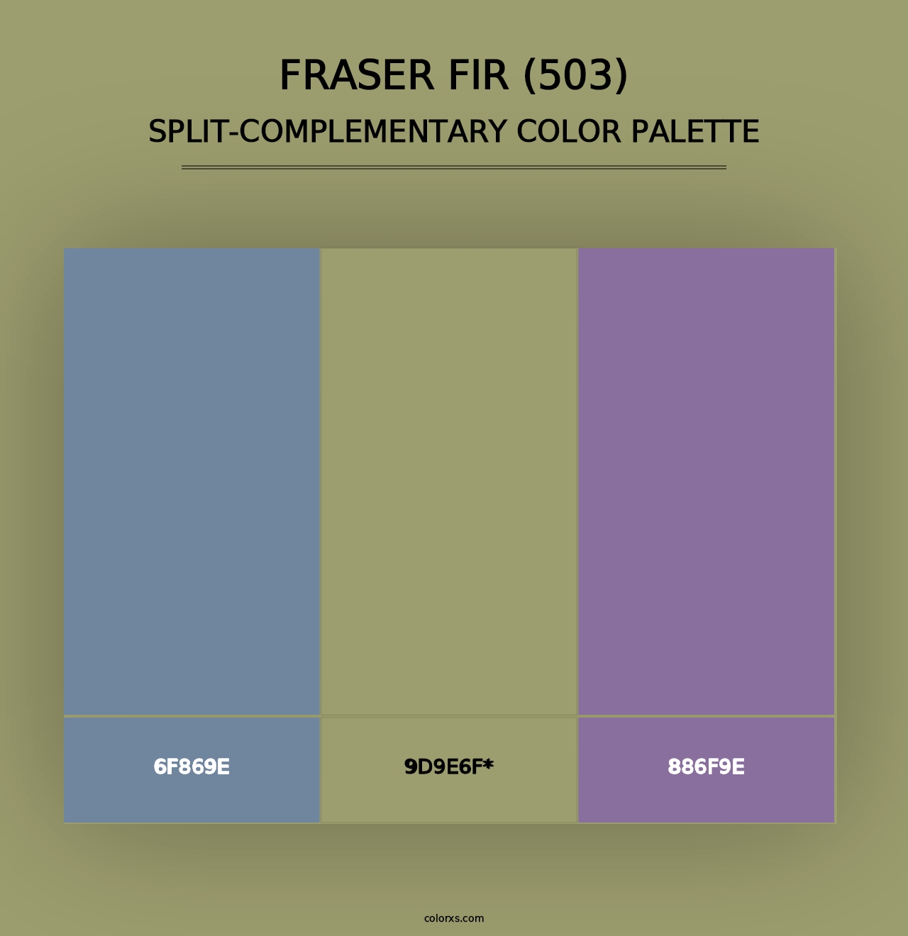 Fraser Fir (503) - Split-Complementary Color Palette