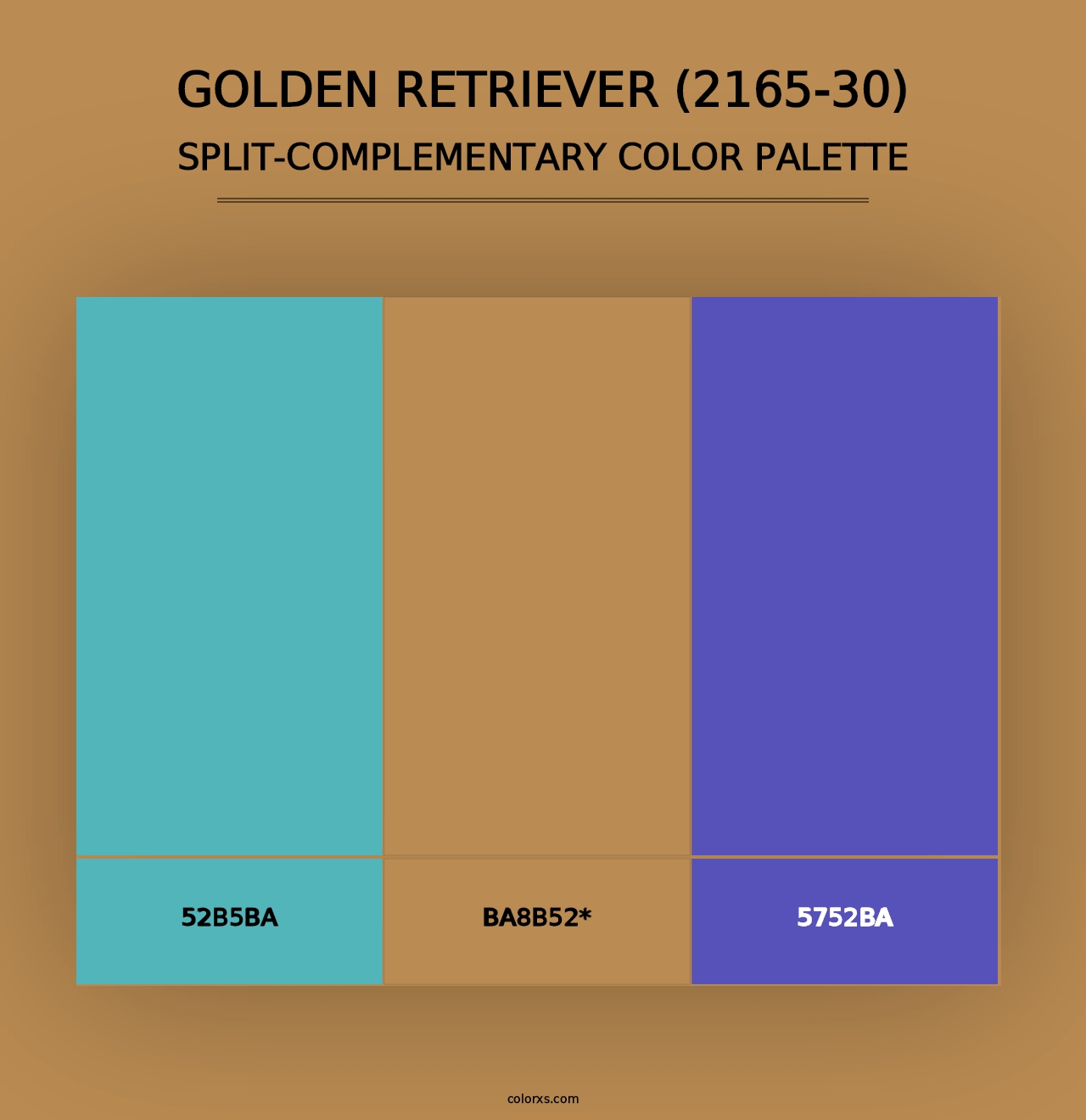 Golden Retriever (2165-30) - Split-Complementary Color Palette