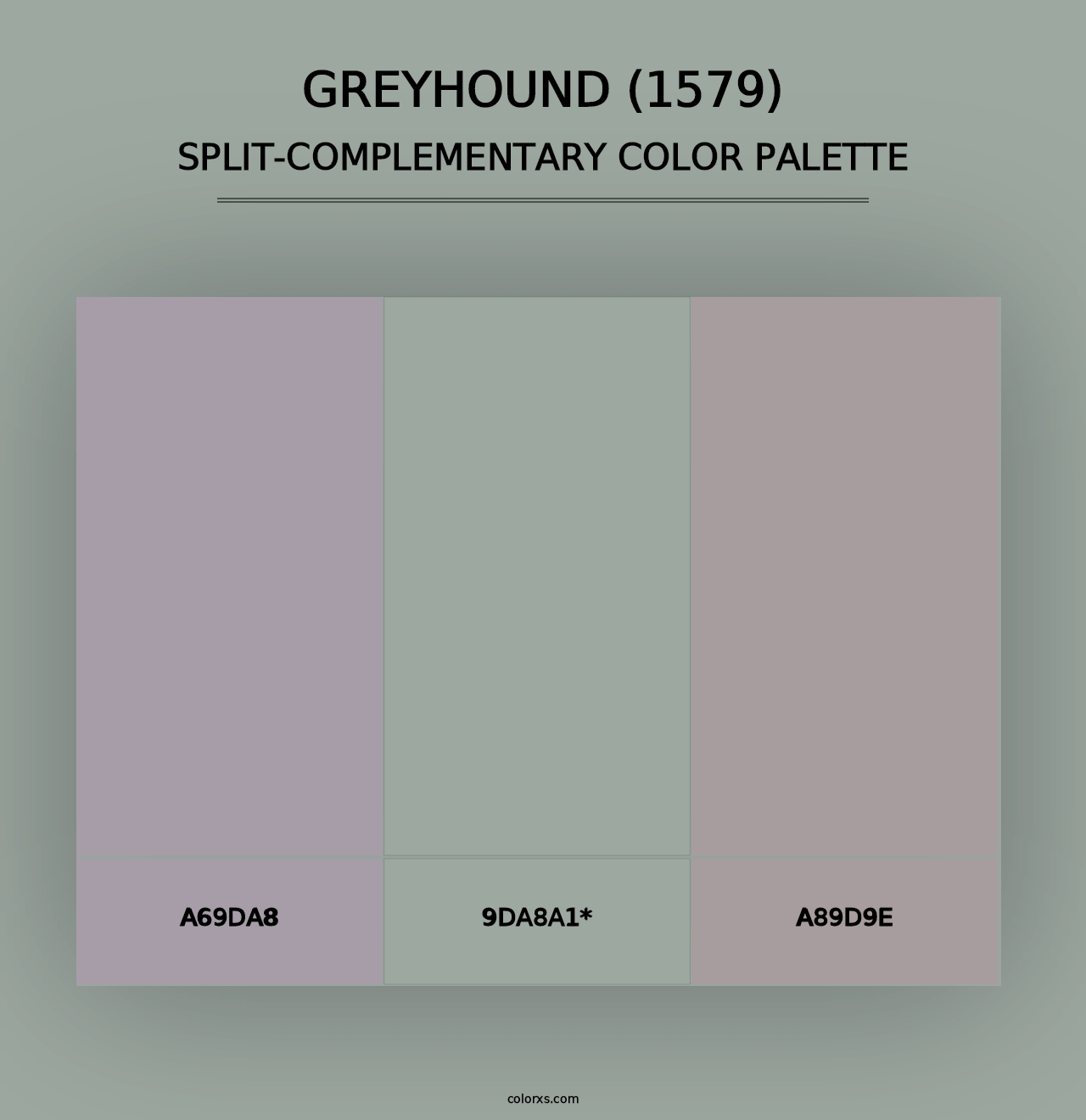 Greyhound (1579) - Split-Complementary Color Palette