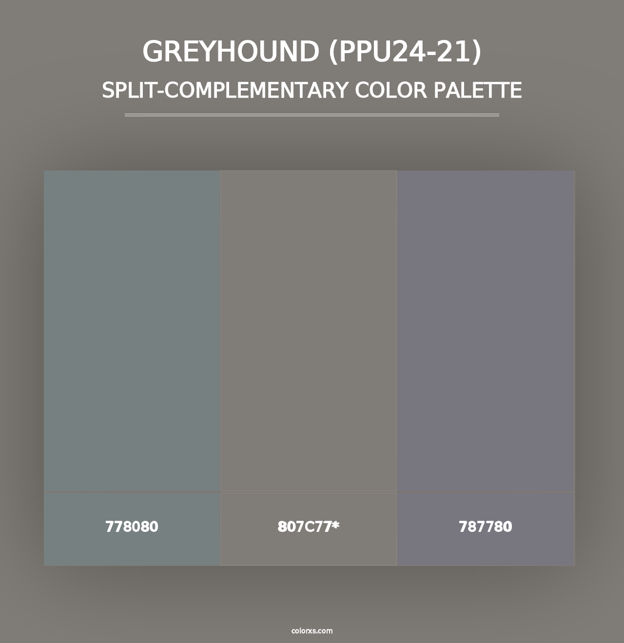 Greyhound (PPU24-21) - Split-Complementary Color Palette