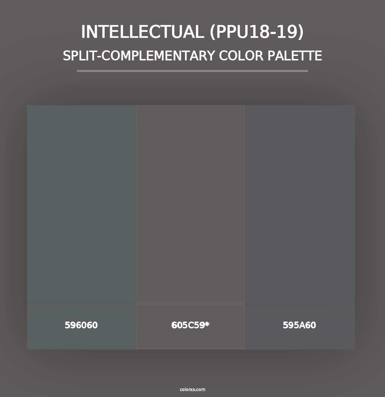 Intellectual (PPU18-19) - Split-Complementary Color Palette