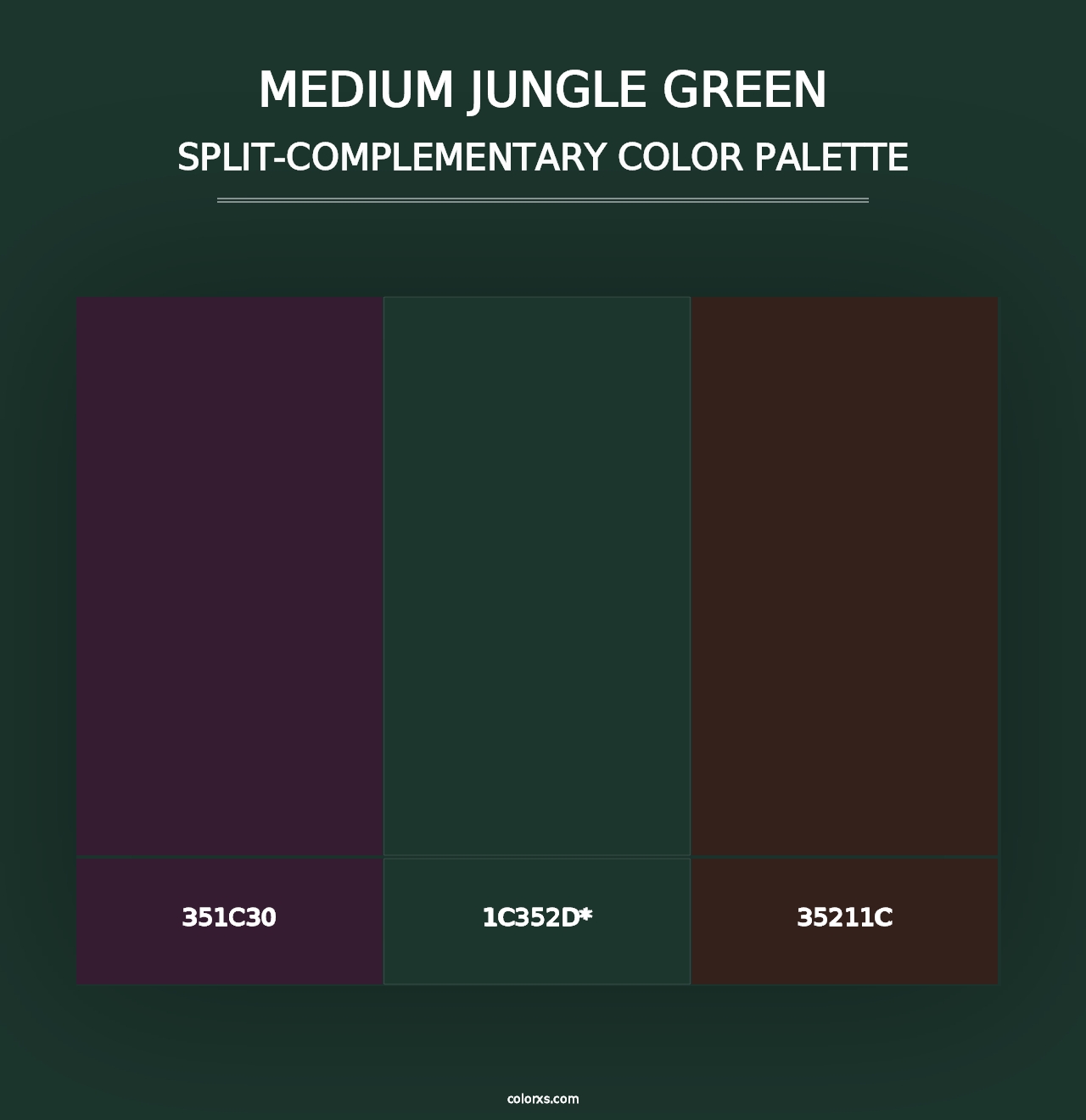 Medium Jungle Green - Split-Complementary Color Palette