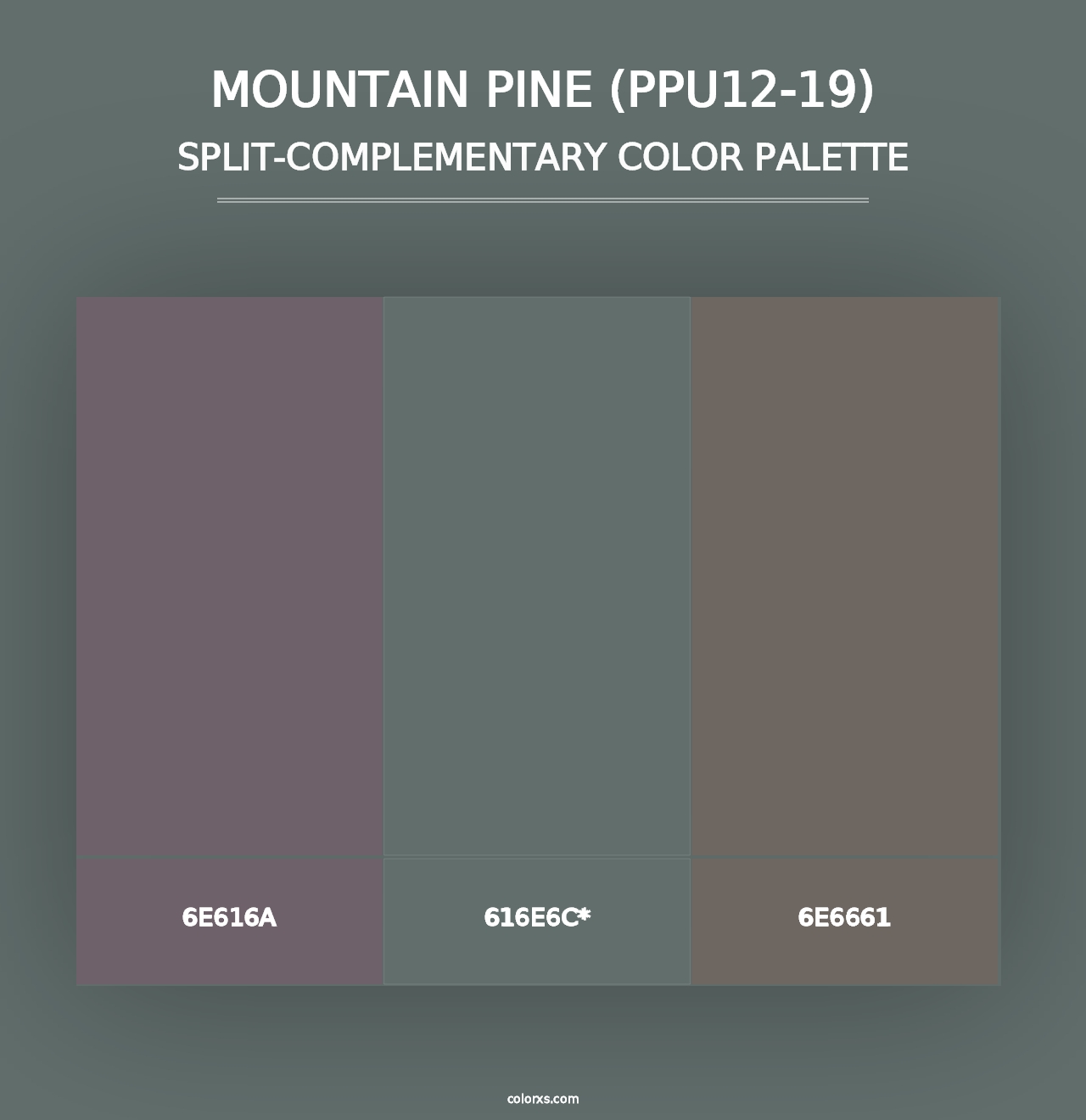 Mountain Pine (PPU12-19) - Split-Complementary Color Palette