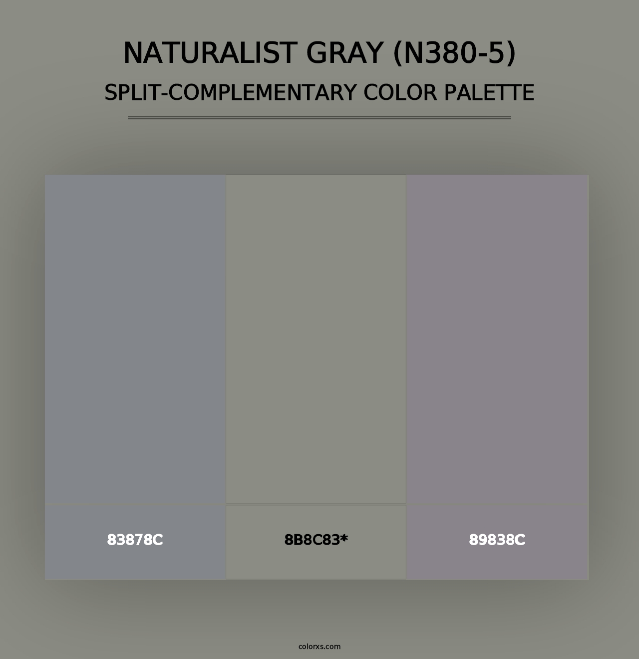 Naturalist Gray (N380-5) - Split-Complementary Color Palette