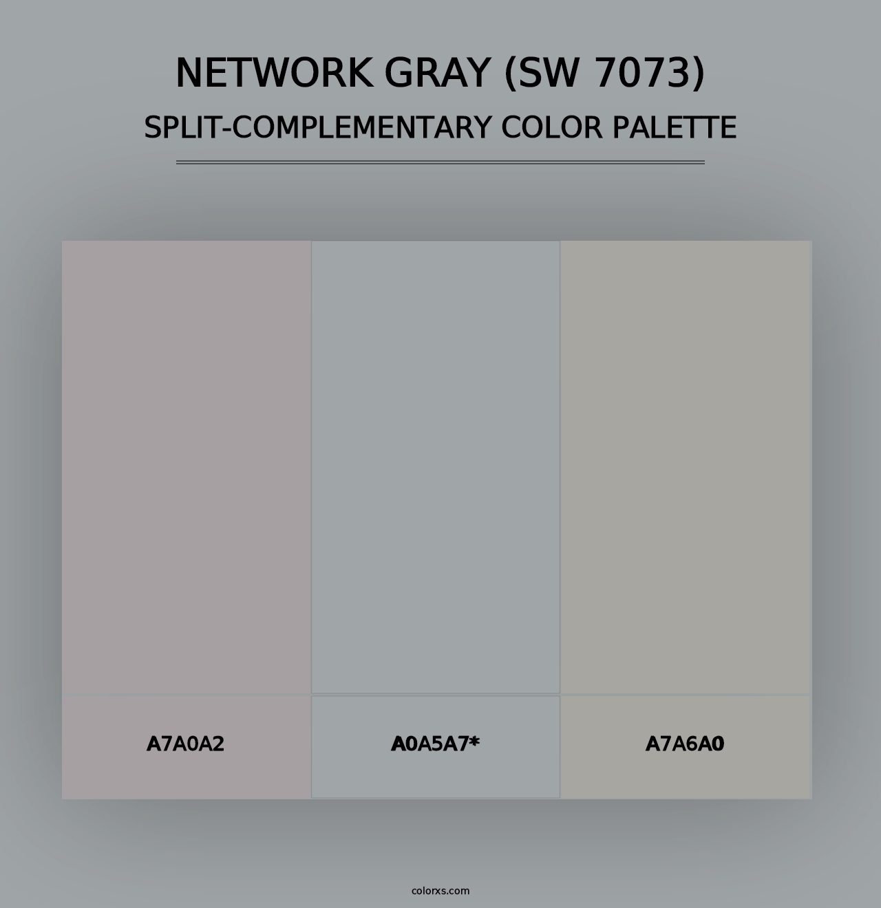 Network Gray (SW 7073) - Split-Complementary Color Palette