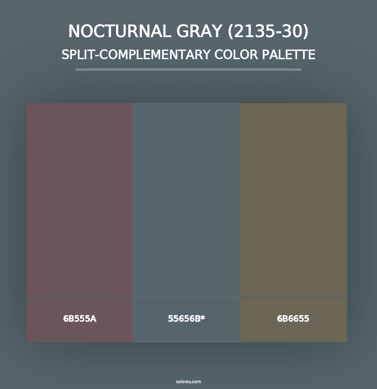 Nocturnal Gray (2135-30) - Split-Complementary Color Palette