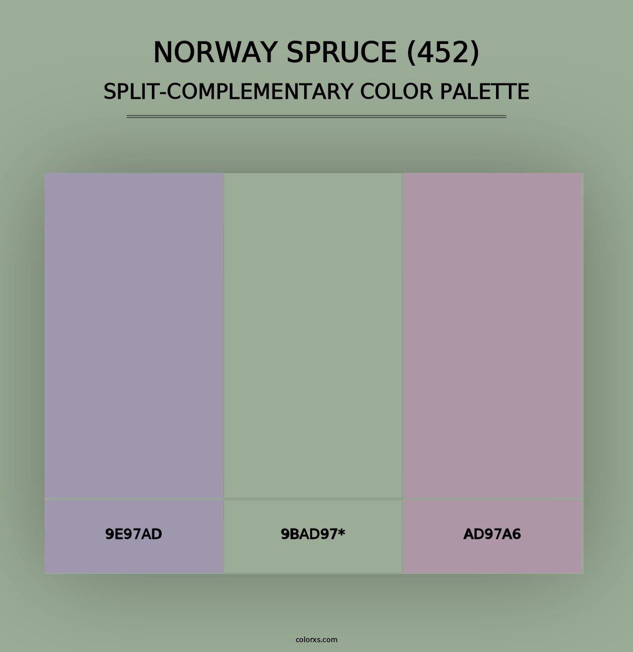 Norway Spruce (452) - Split-Complementary Color Palette