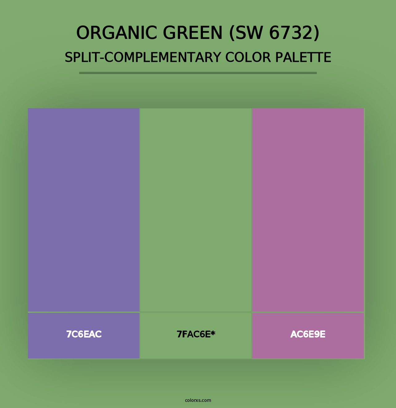 Organic Green (SW 6732) - Split-Complementary Color Palette