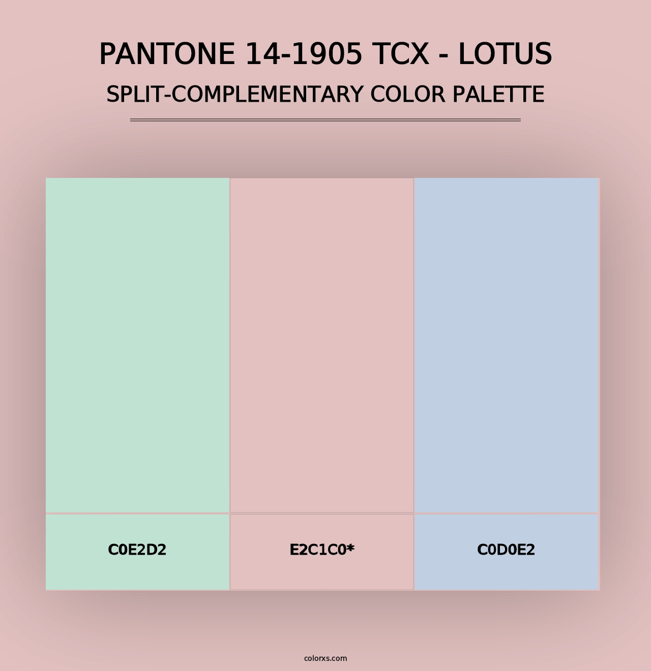 PANTONE 14-1905 TCX - Lotus - Split-Complementary Color Palette