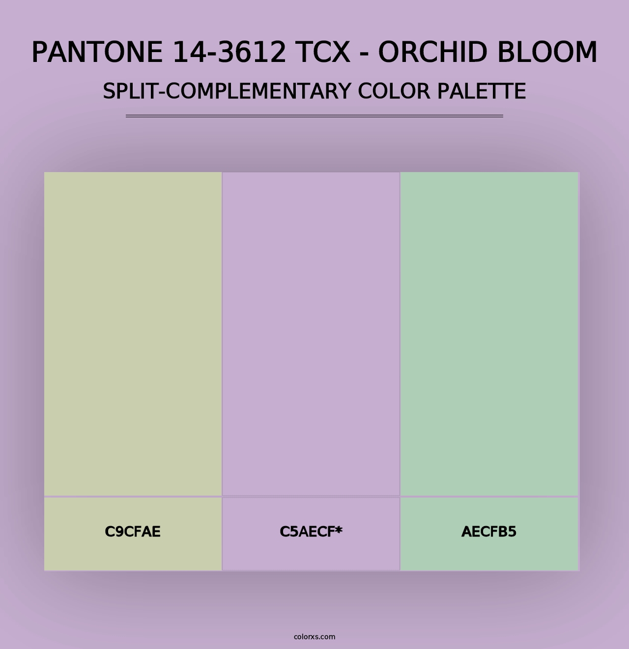 PANTONE 14-3612 TCX - Orchid Bloom - Split-Complementary Color Palette