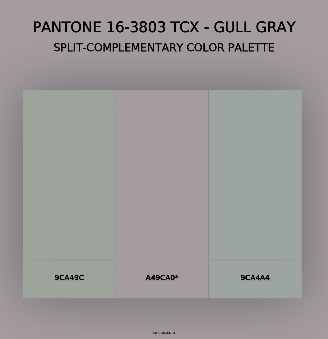 PANTONE 16-3803 TCX - Gull Gray - Split-Complementary Color Palette