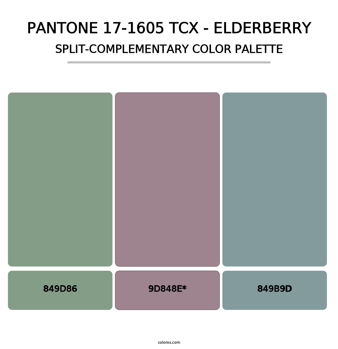 PANTONE 17-1605 TCX - Elderberry - Split-Complementary Color Palette