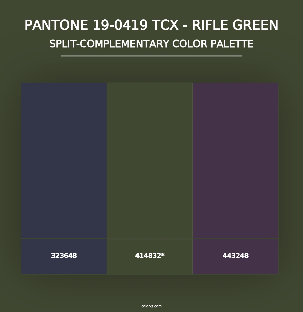 PANTONE 19-0419 TCX - Rifle Green - Split-Complementary Color Palette