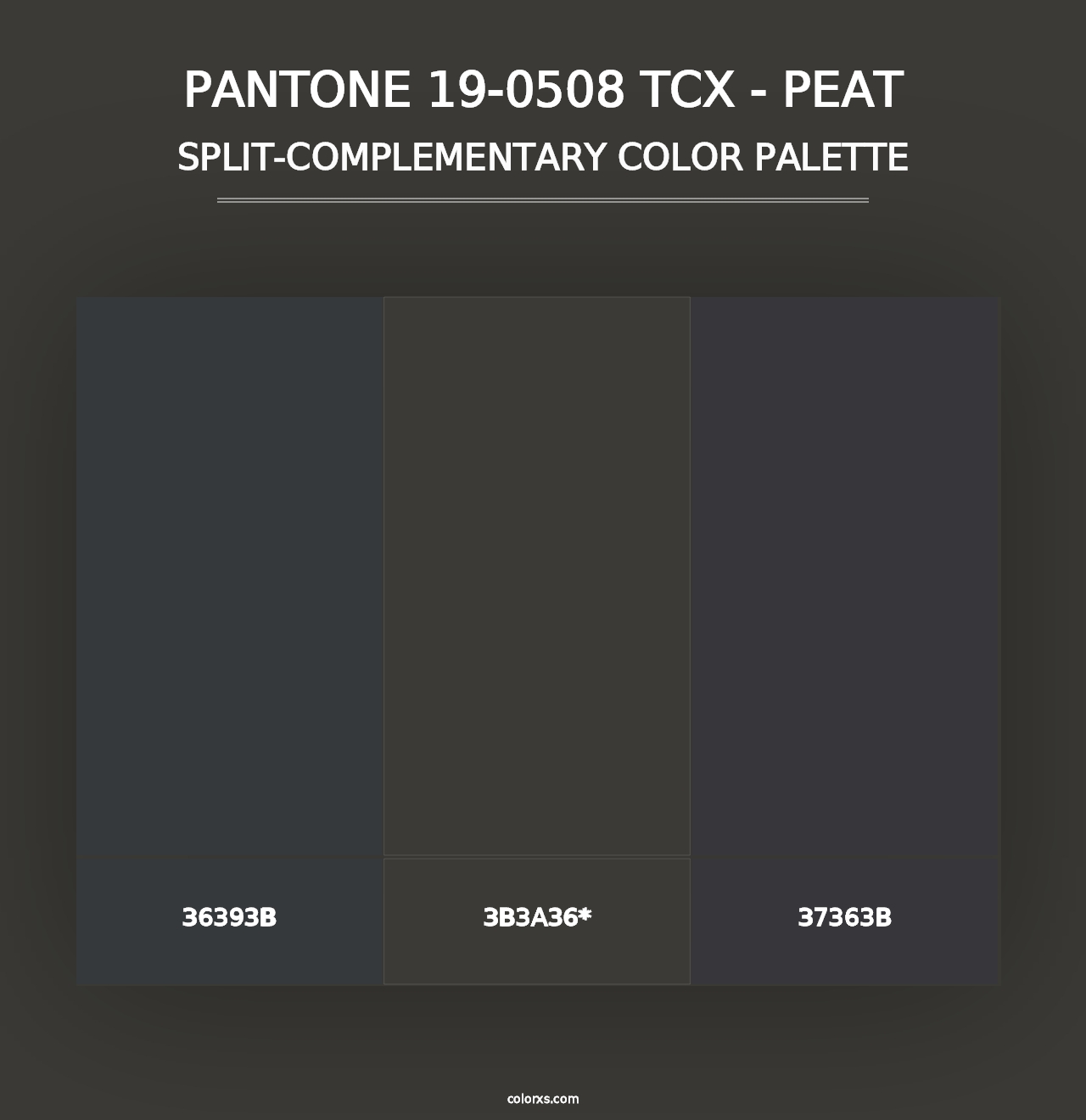 PANTONE 19-0508 TCX - Peat - Split-Complementary Color Palette