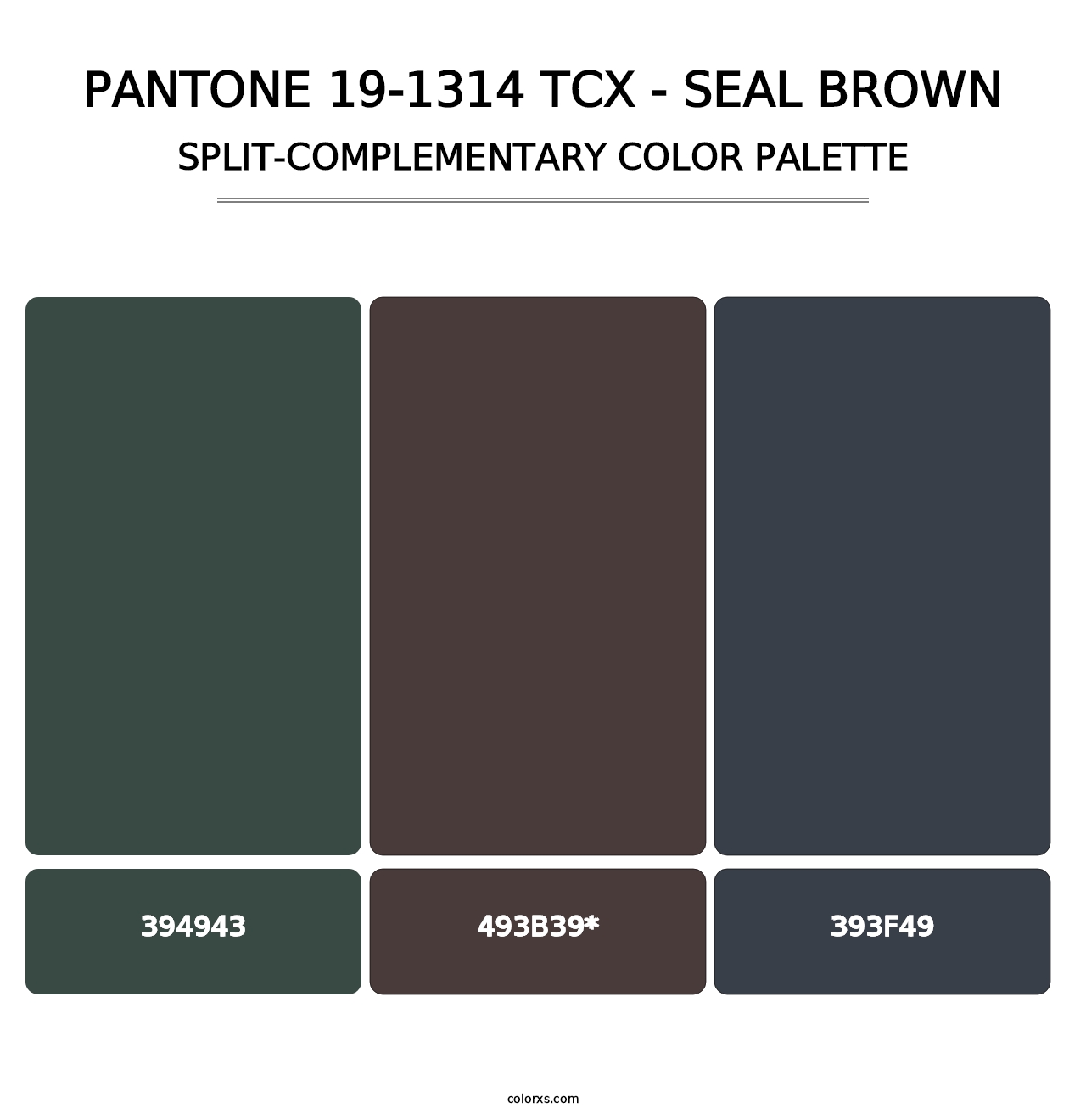 PANTONE 19-1314 TCX - Seal Brown - Split-Complementary Color Palette