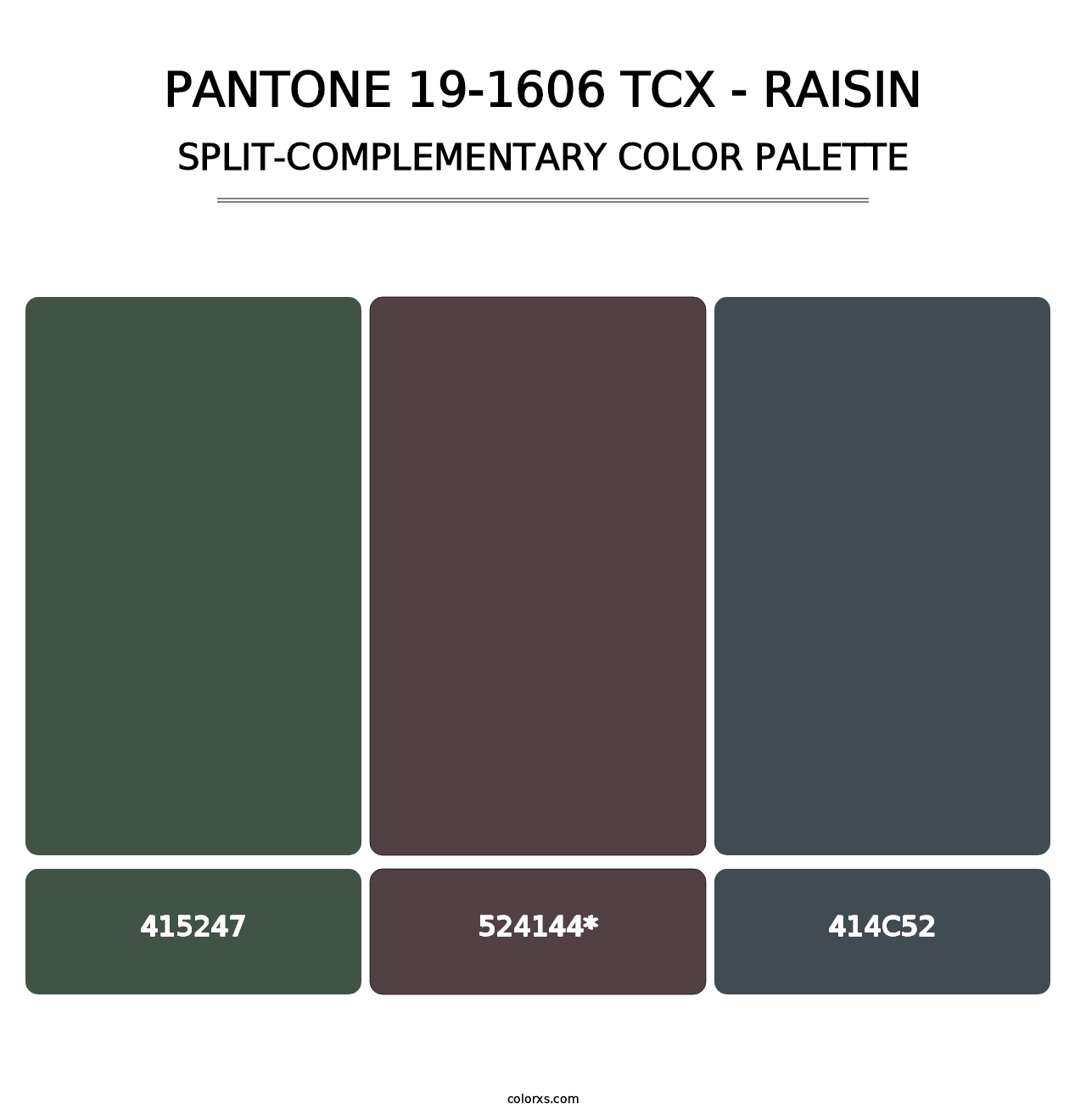 PANTONE 19-1606 TCX - Raisin - Split-Complementary Color Palette