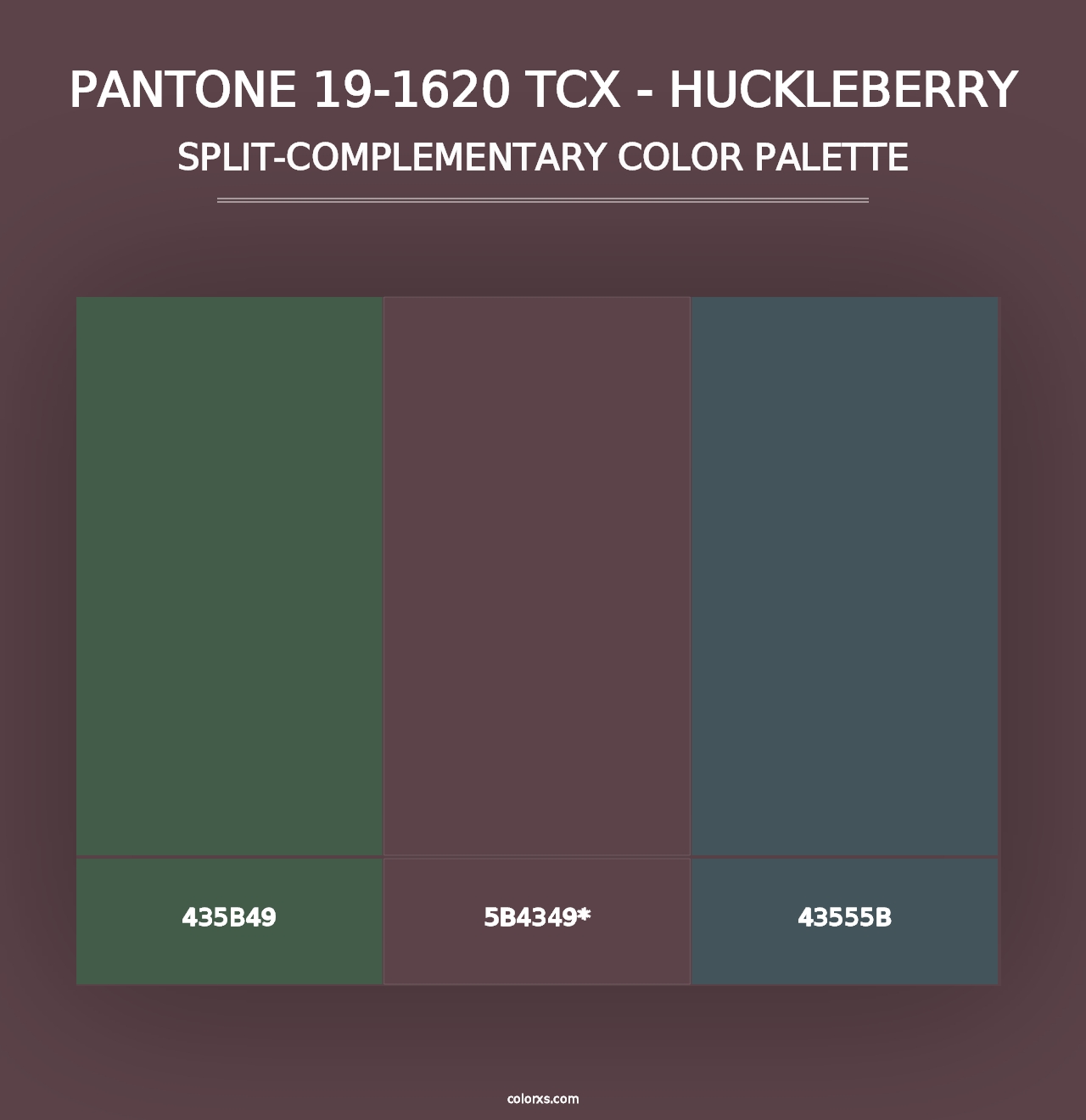 PANTONE 19-1620 TCX - Huckleberry - Split-Complementary Color Palette