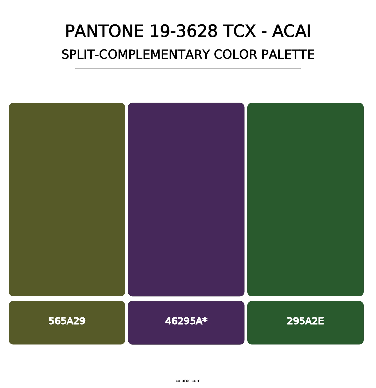 PANTONE 19-3628 TCX - Acai - Split-Complementary Color Palette