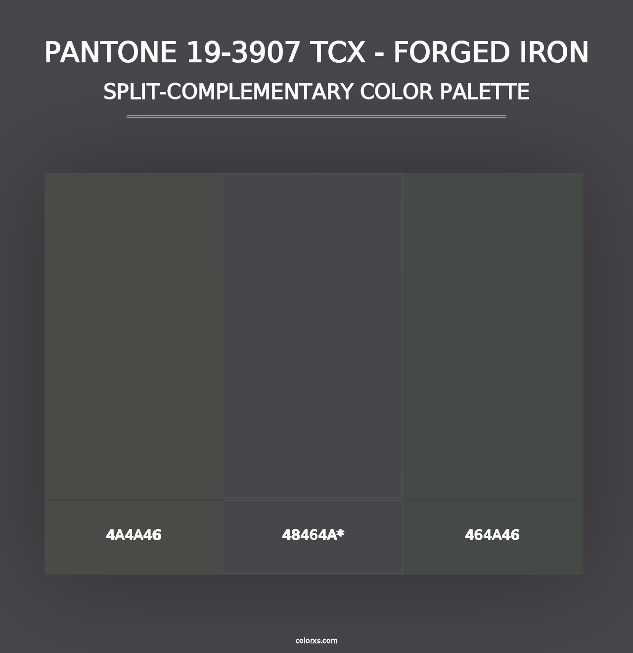 PANTONE 19-3907 TCX - Forged Iron - Split-Complementary Color Palette