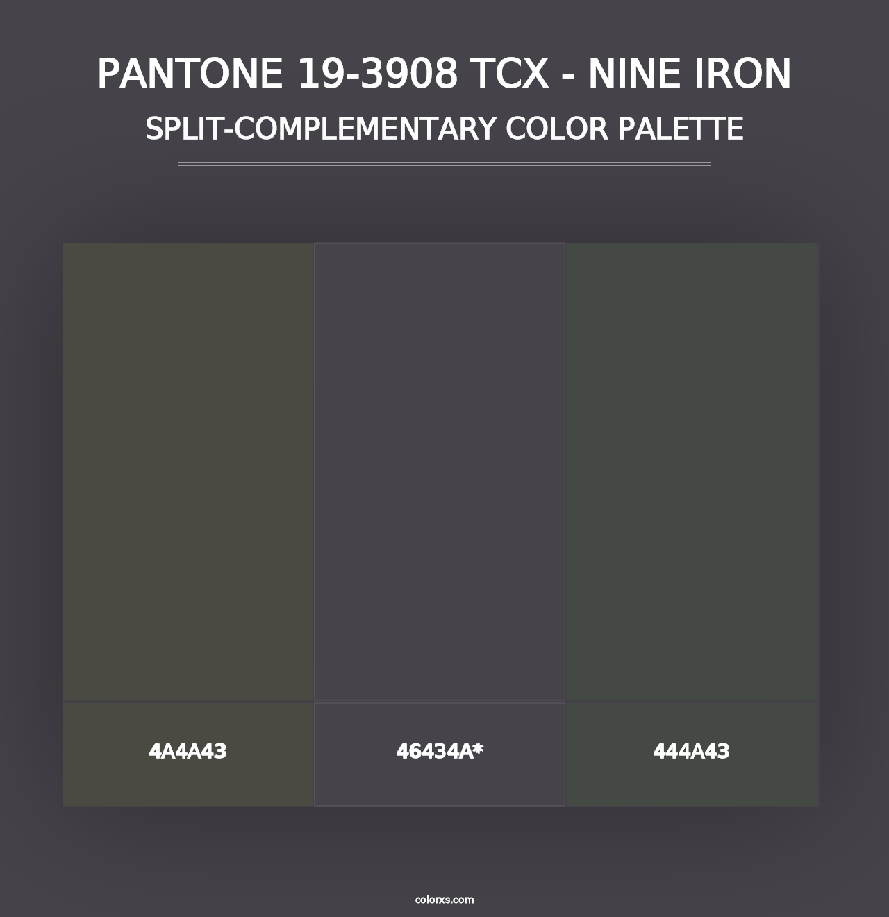 PANTONE 19-3908 TCX - Nine Iron - Split-Complementary Color Palette