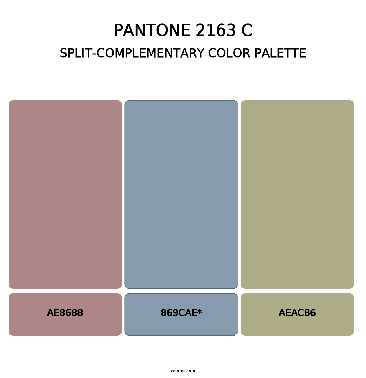 PANTONE 2163 C - Split-Complementary Color Palette