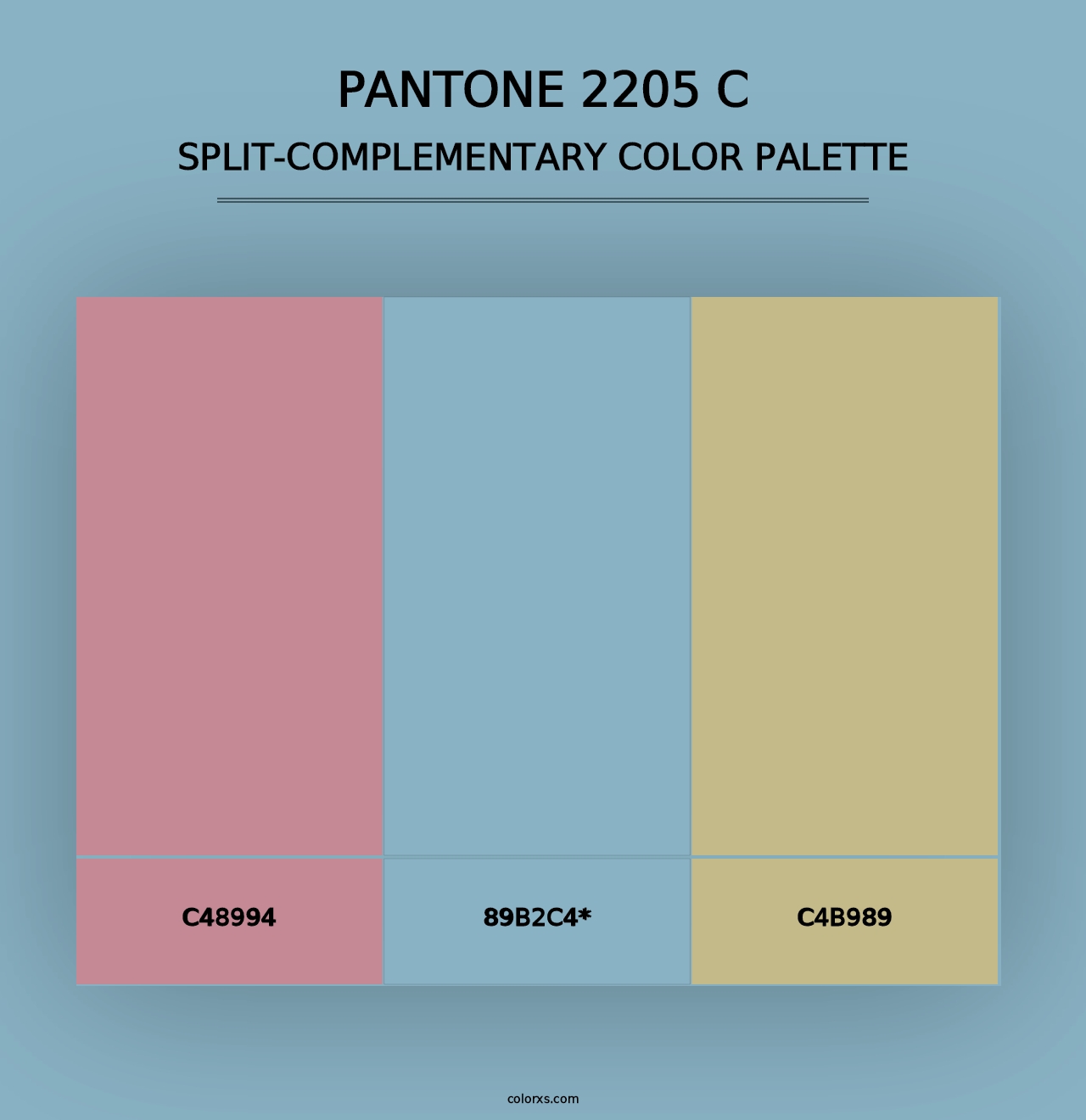 PANTONE 2205 C - Split-Complementary Color Palette