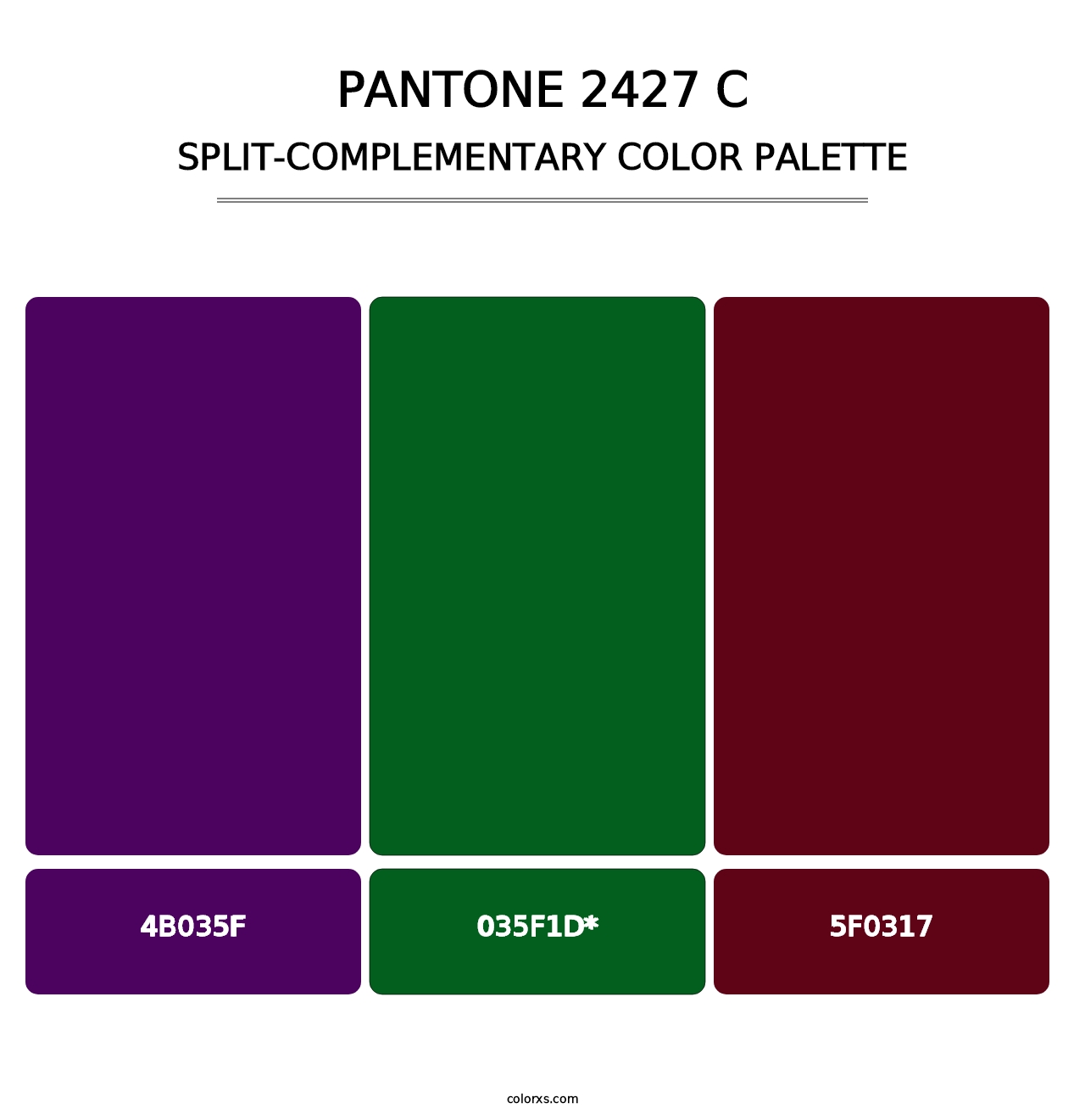 PANTONE 2427 C - Split-Complementary Color Palette