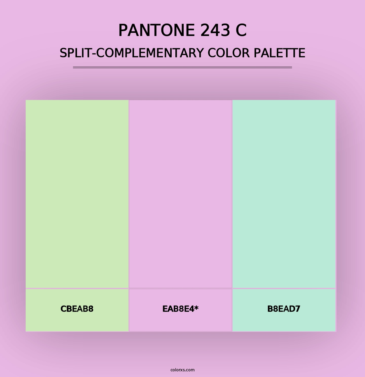 PANTONE 243 C - Split-Complementary Color Palette