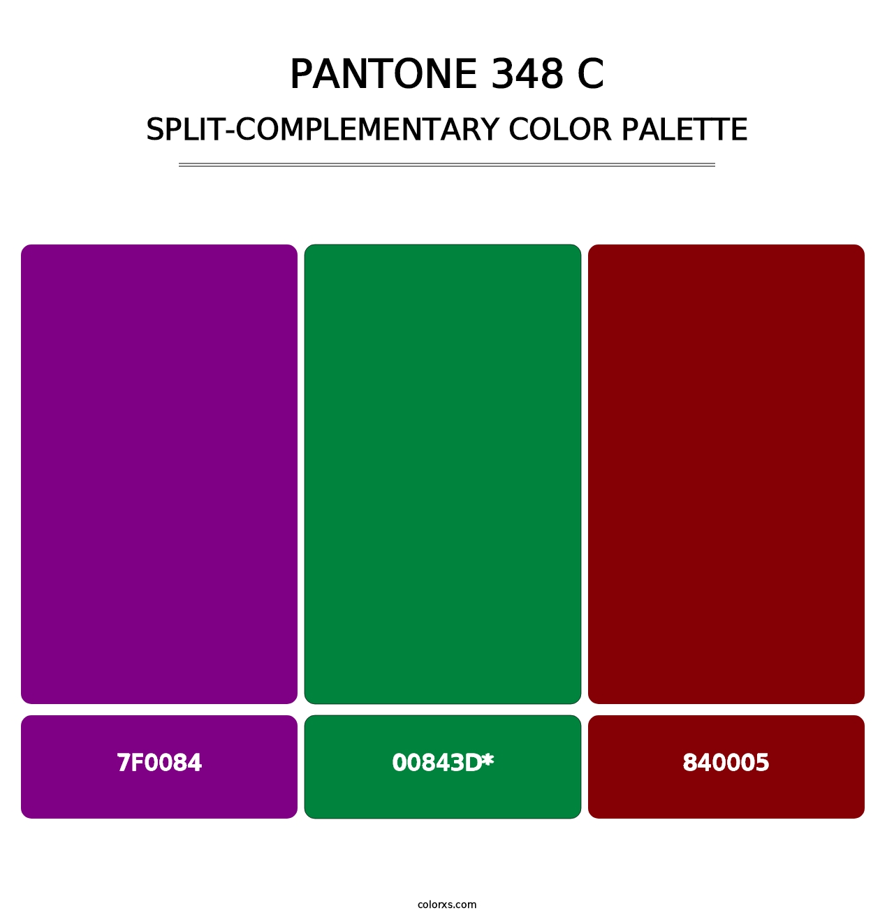 PANTONE 348 C color palettes - colorxs.com