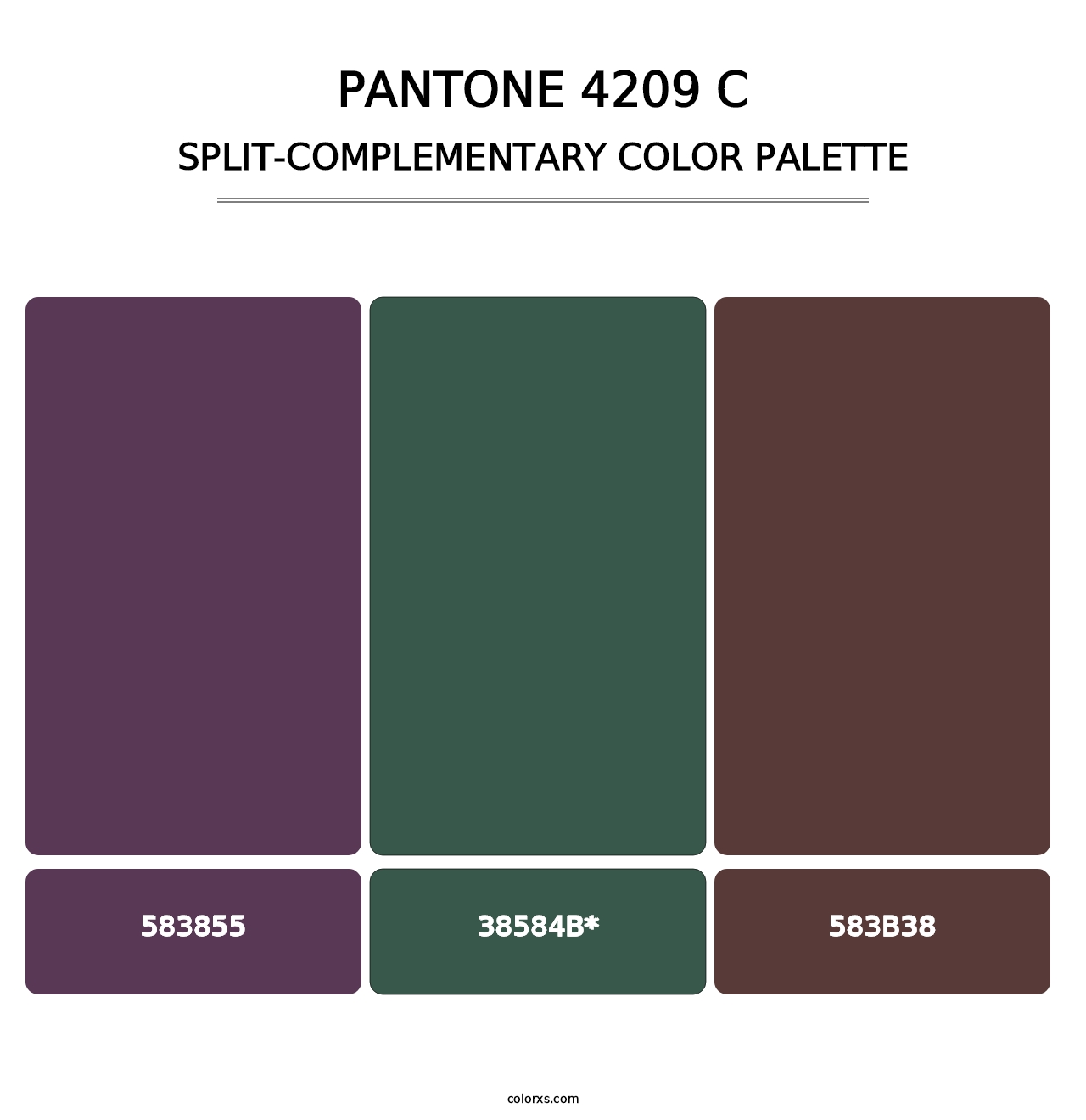 PANTONE 4209 C - Split-Complementary Color Palette