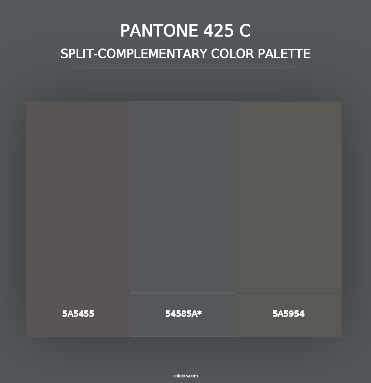 PANTONE 425 C - Split-Complementary Color Palette