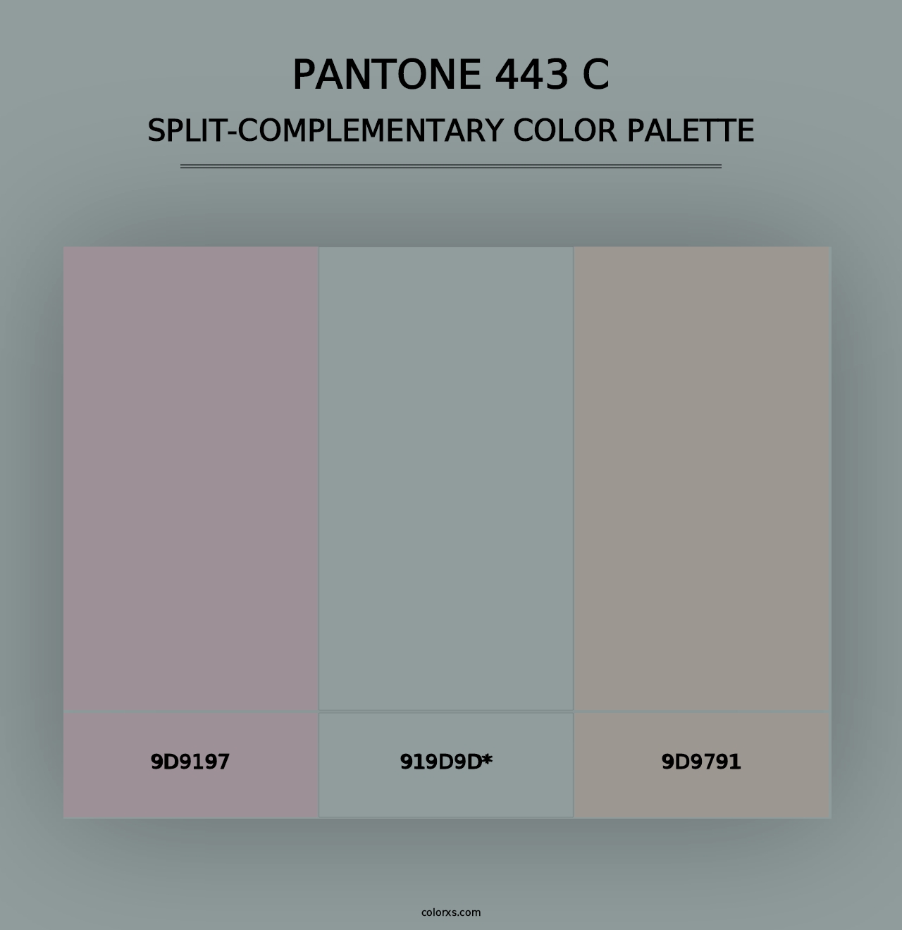 PANTONE 443 C - Split-Complementary Color Palette