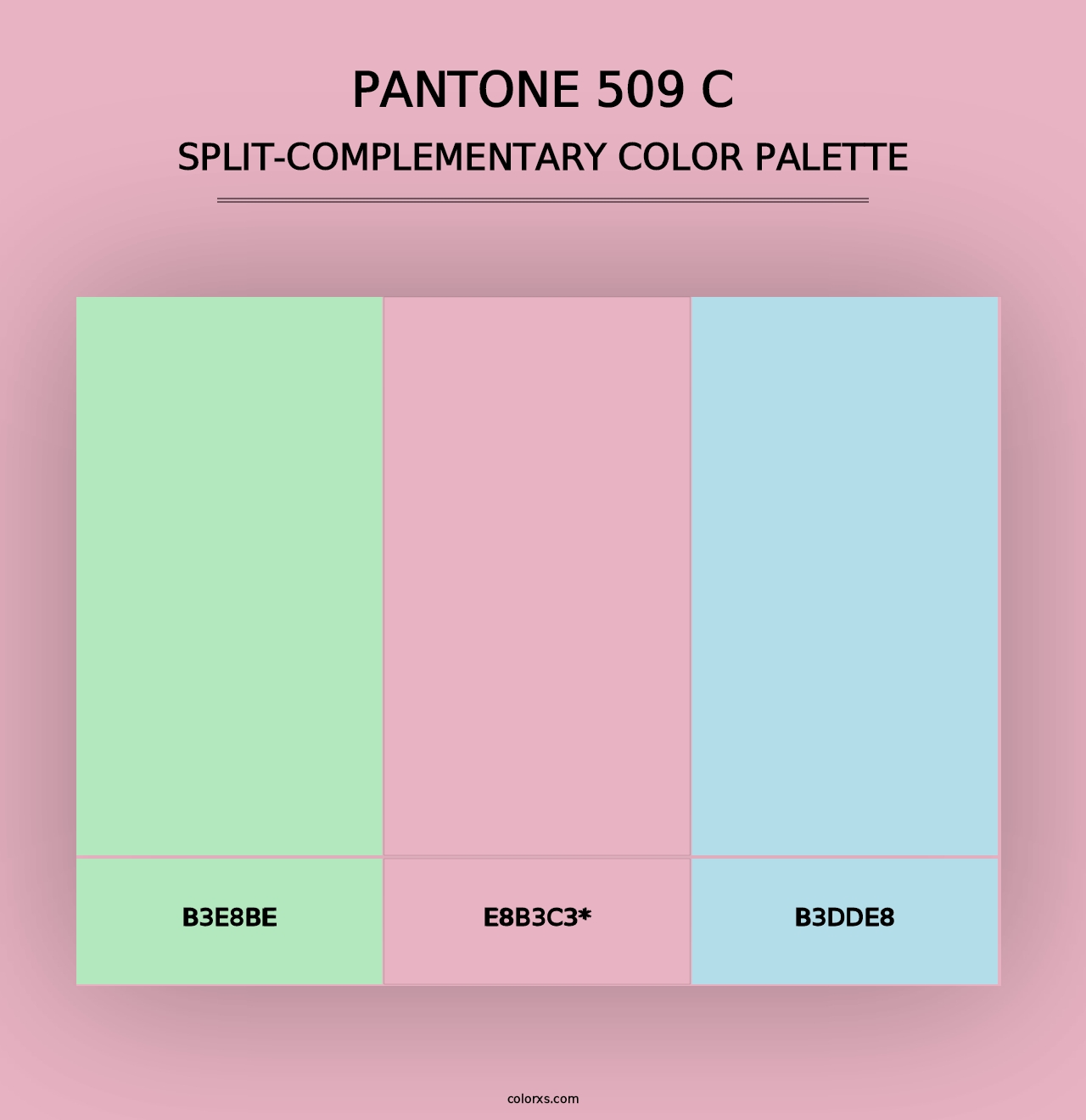 PANTONE 509 C - Split-Complementary Color Palette