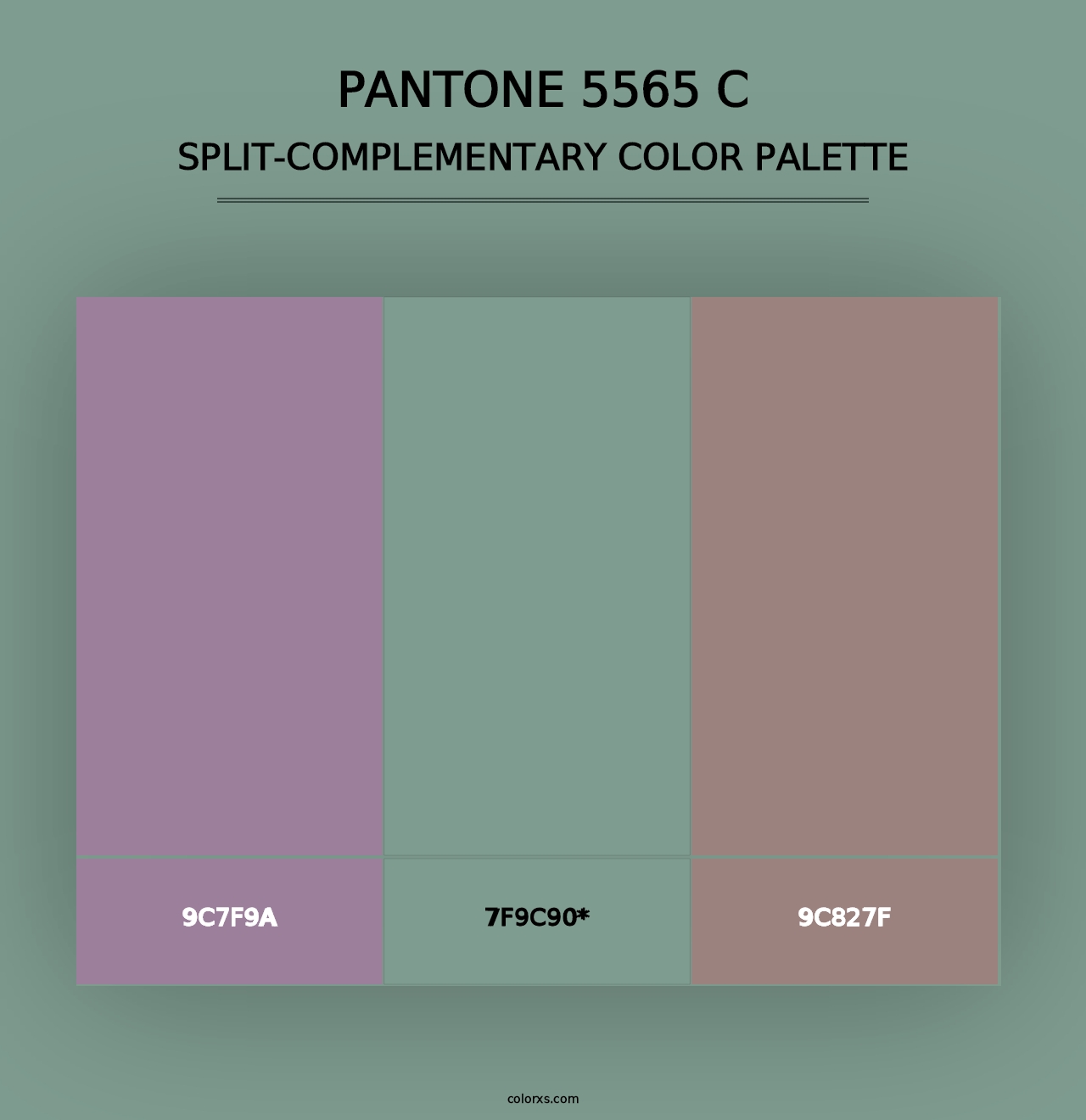 PANTONE 5565 C - Split-Complementary Color Palette