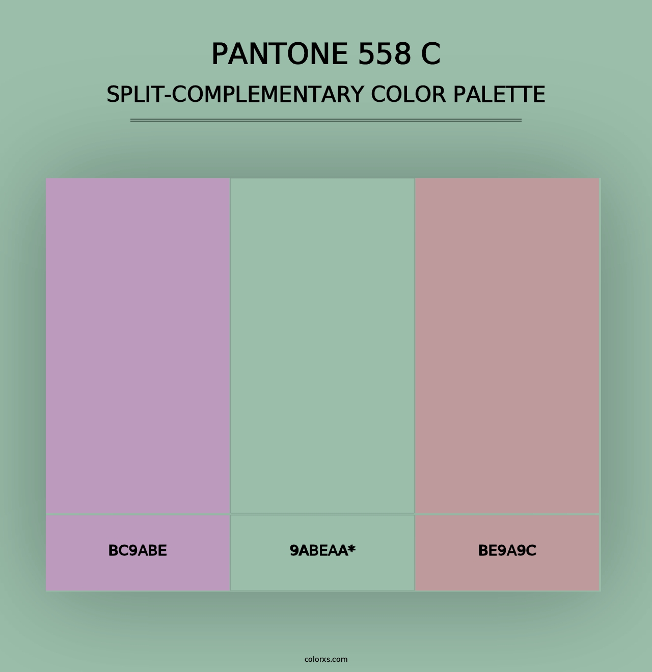 PANTONE 558 C - Split-Complementary Color Palette