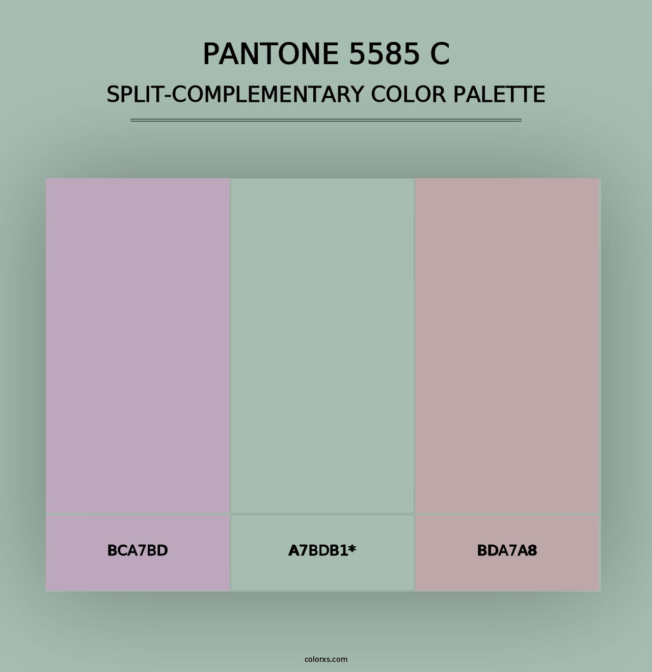 PANTONE 5585 C - Split-Complementary Color Palette