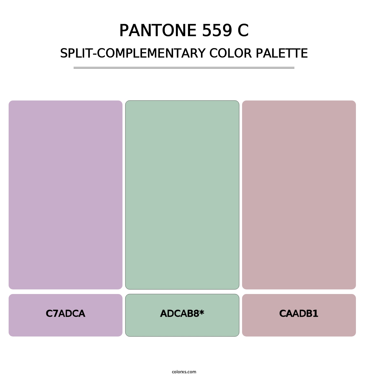 PANTONE 559 C - Split-Complementary Color Palette