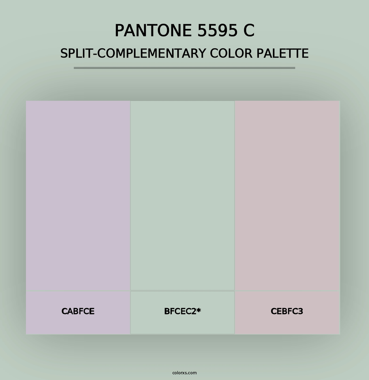 PANTONE 5595 C - Split-Complementary Color Palette