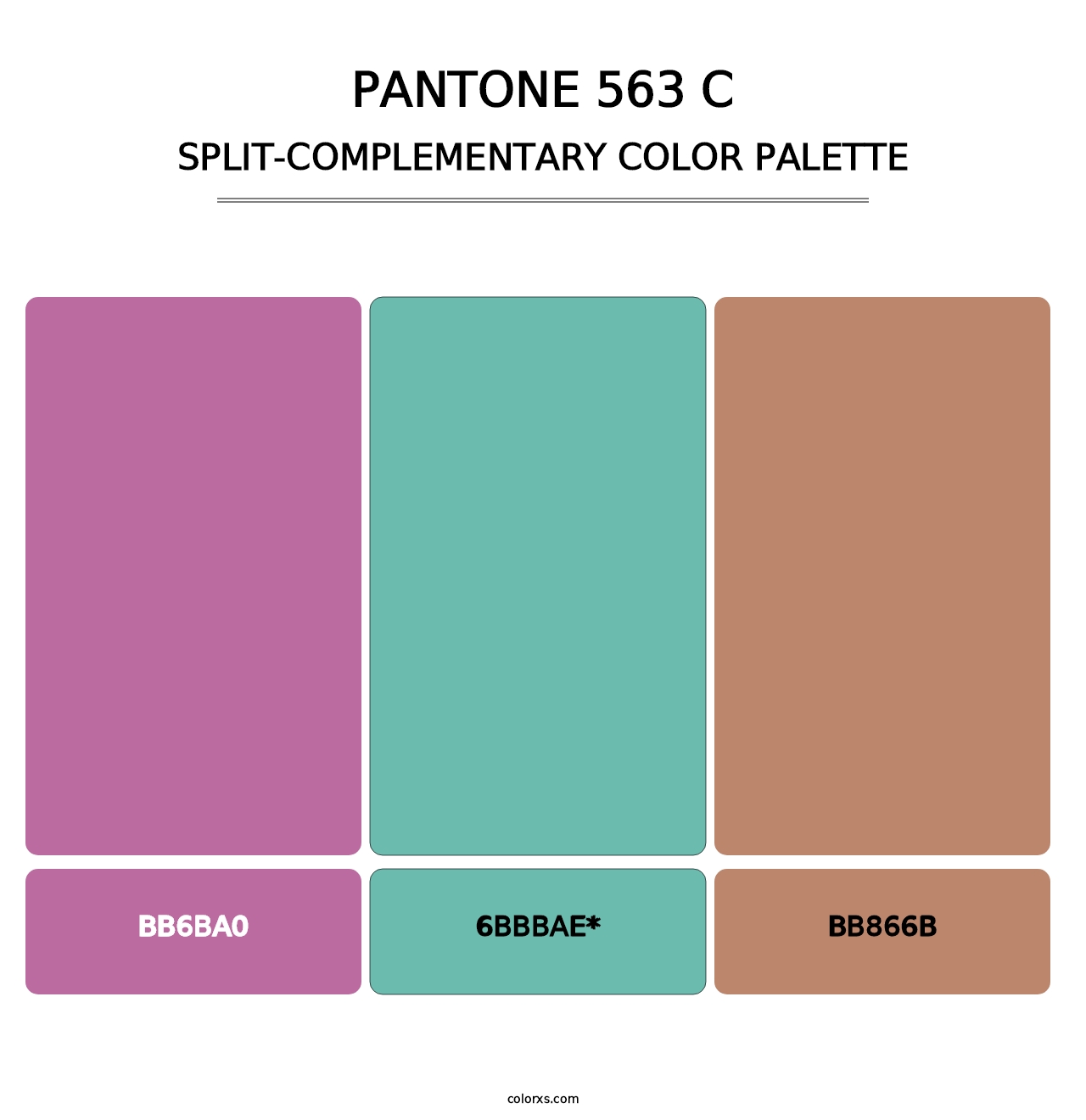 PANTONE 563 C - Split-Complementary Color Palette