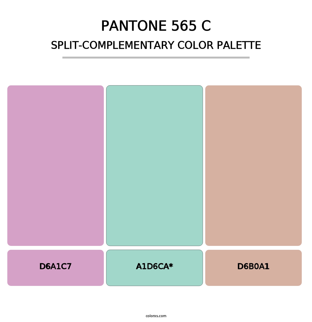 PANTONE 565 C - Split-Complementary Color Palette