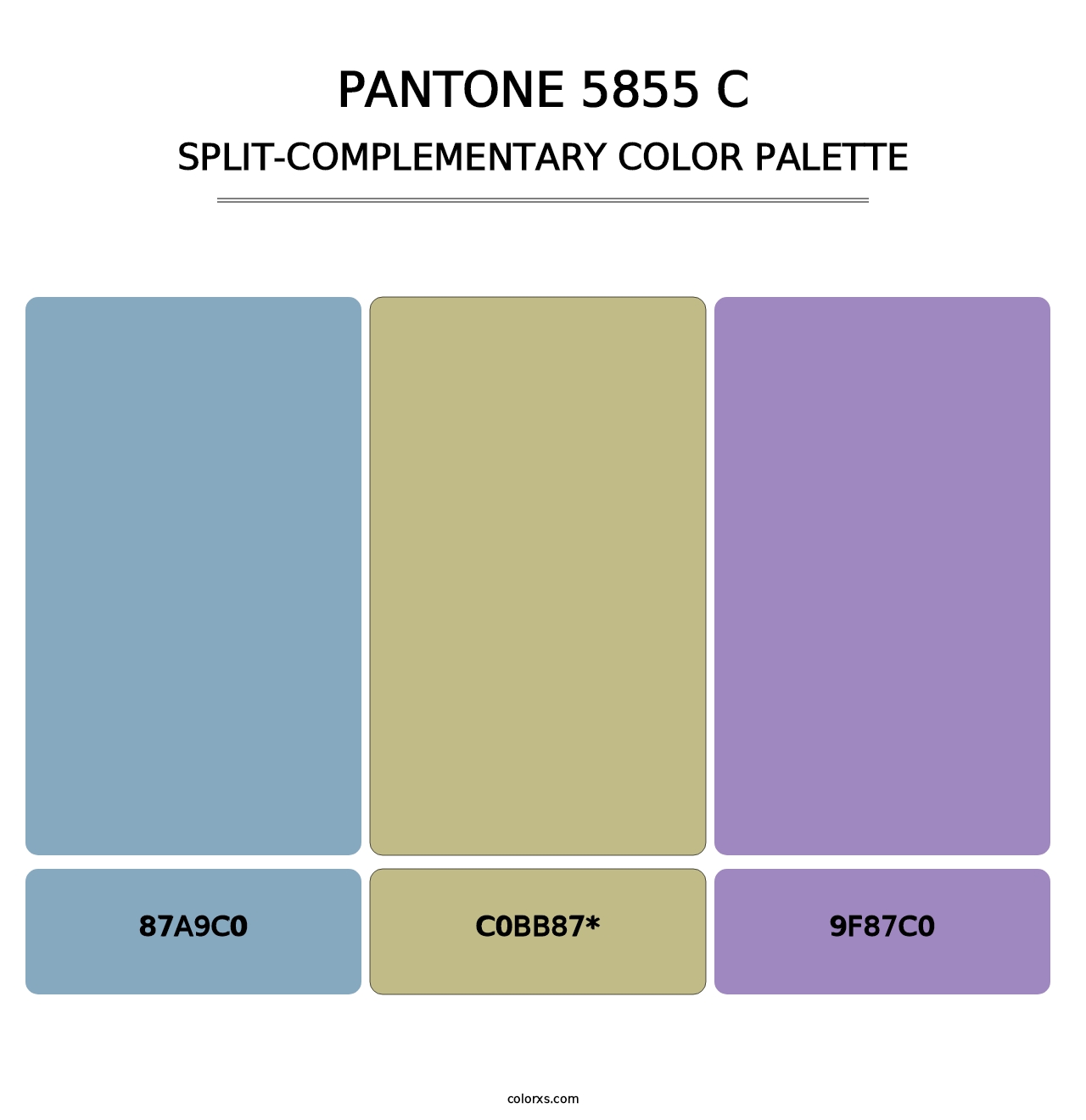 PANTONE 5855 C - Split-Complementary Color Palette