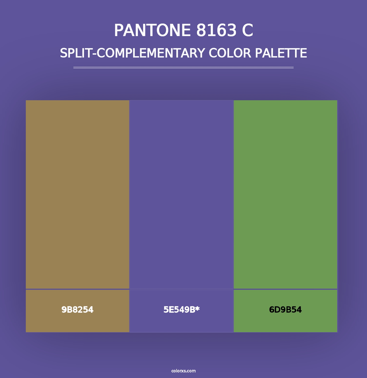 PANTONE 8163 C - Split-Complementary Color Palette