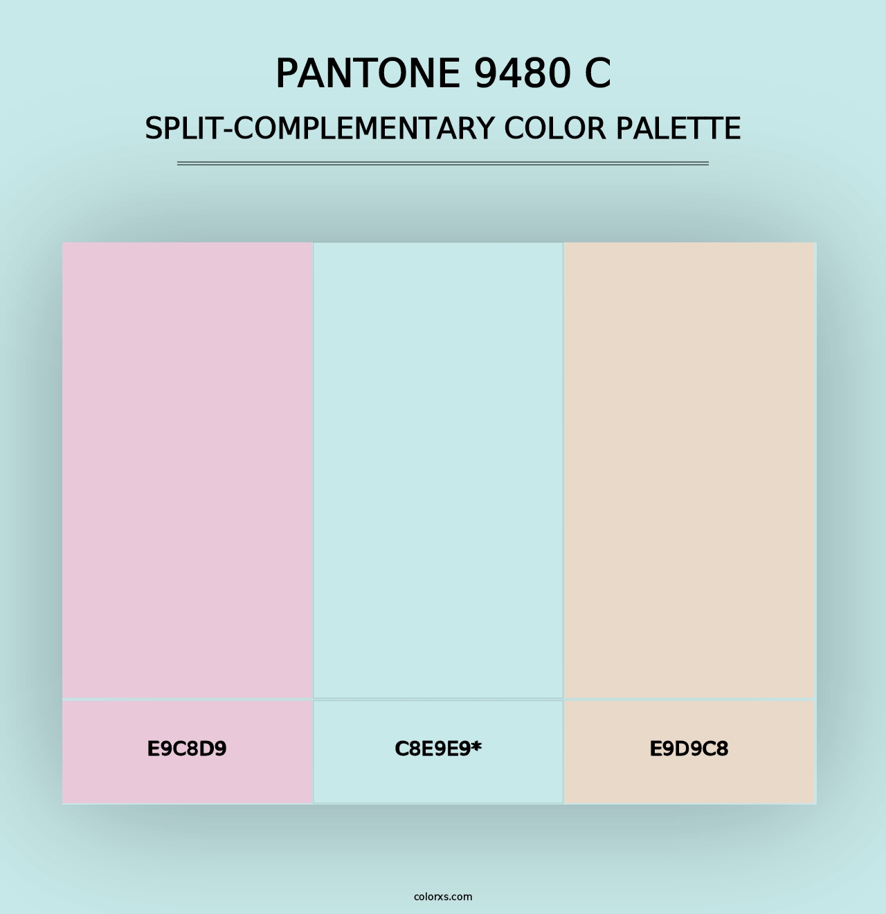 PANTONE 9480 C - Split-Complementary Color Palette